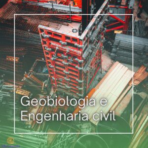 Geobiologia e Construção Civil